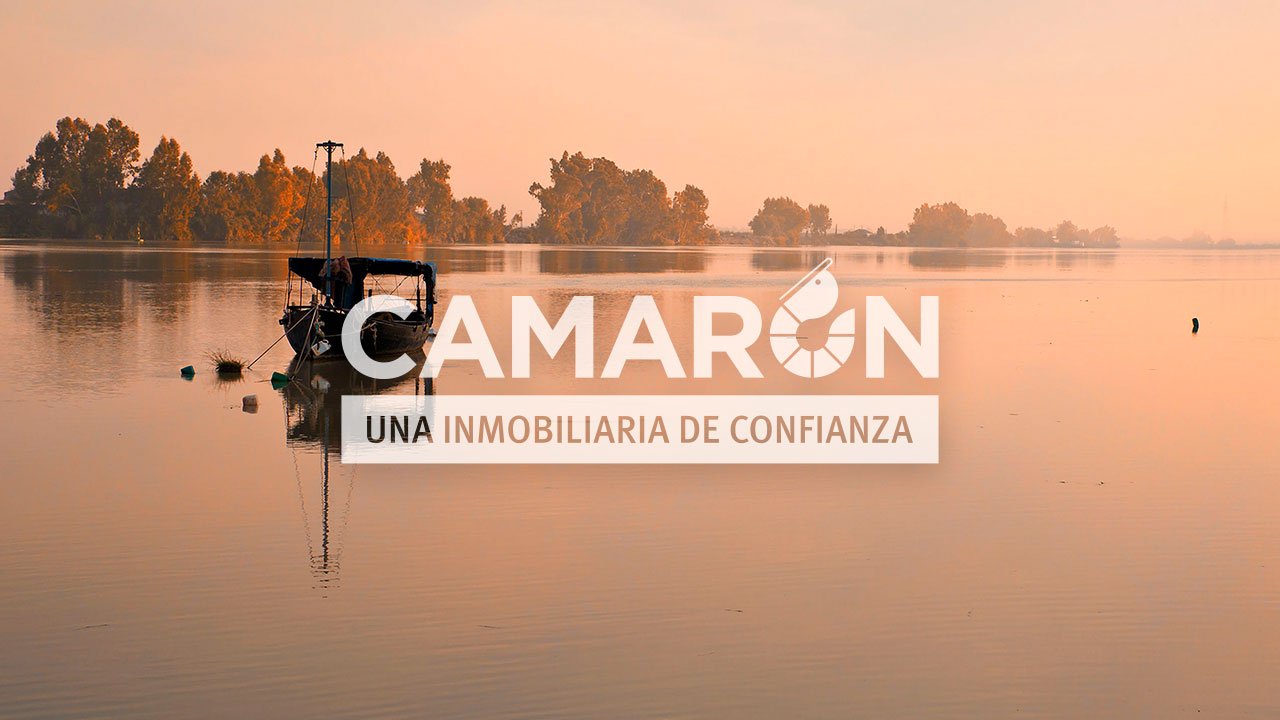 Vídeo corporativo de Inmobiliaria Camarón